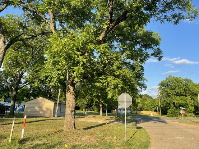 628 S Johnson Street Mineola, TX 75773
