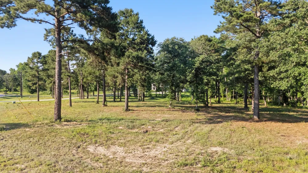 3132 Shadow Pine Drive Larue, TX 75770