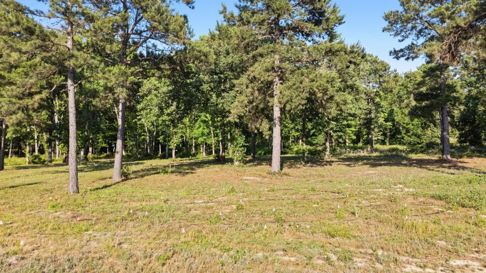 3132 Shadow Pine Drive Larue, TX 75770