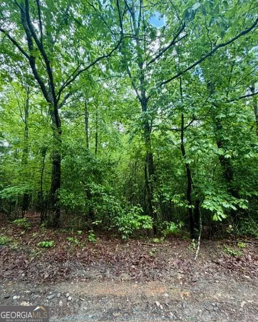 0 Soaring Hawk TRL Cleveland, GA 30528