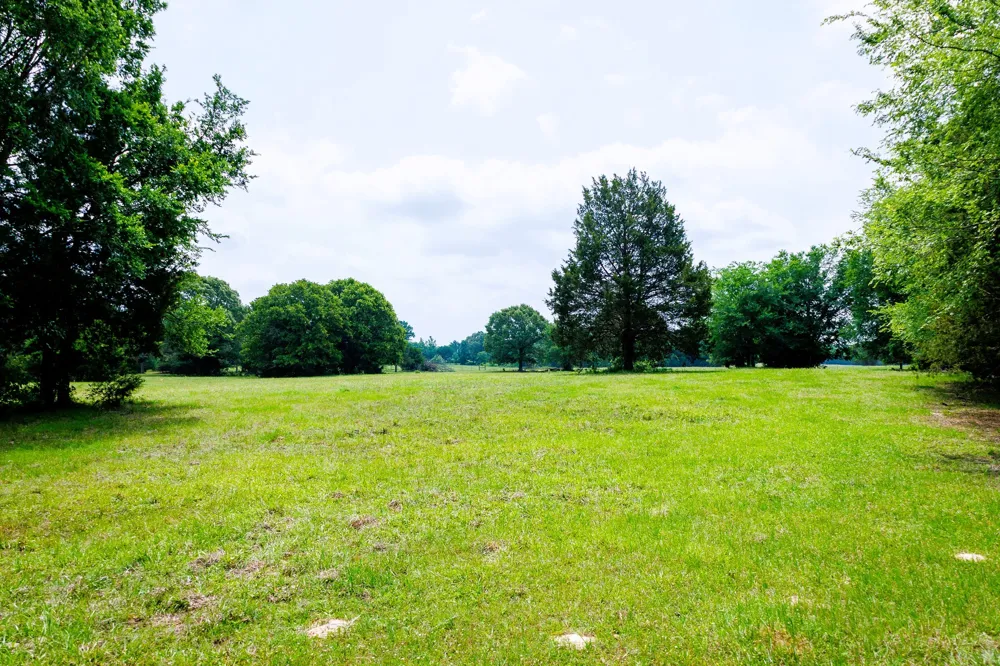 6100 Fm 314 Ben Wheeler, TX 75754