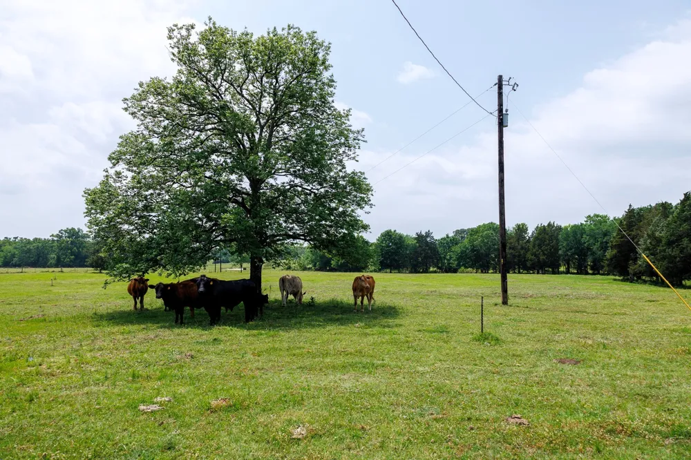 6100 Fm 314 Ben Wheeler, TX 75754