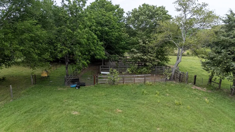 6100 Fm 314 Ben Wheeler, TX 75754