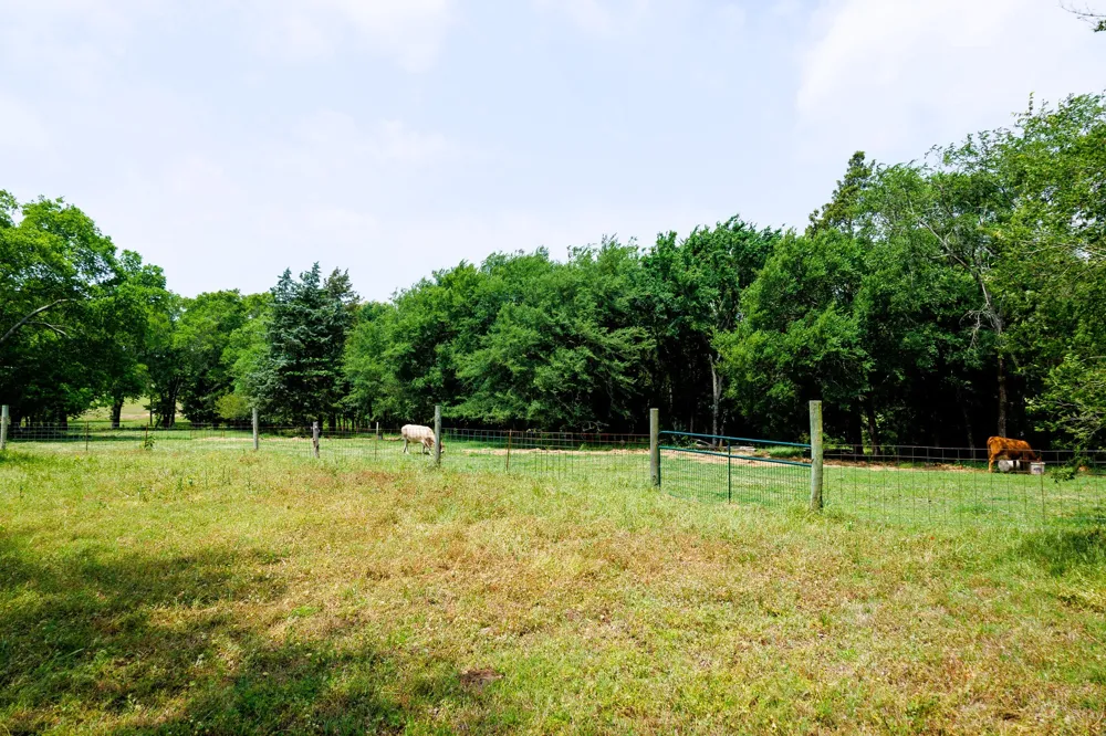 6100 Fm 314 Ben Wheeler, TX 75754