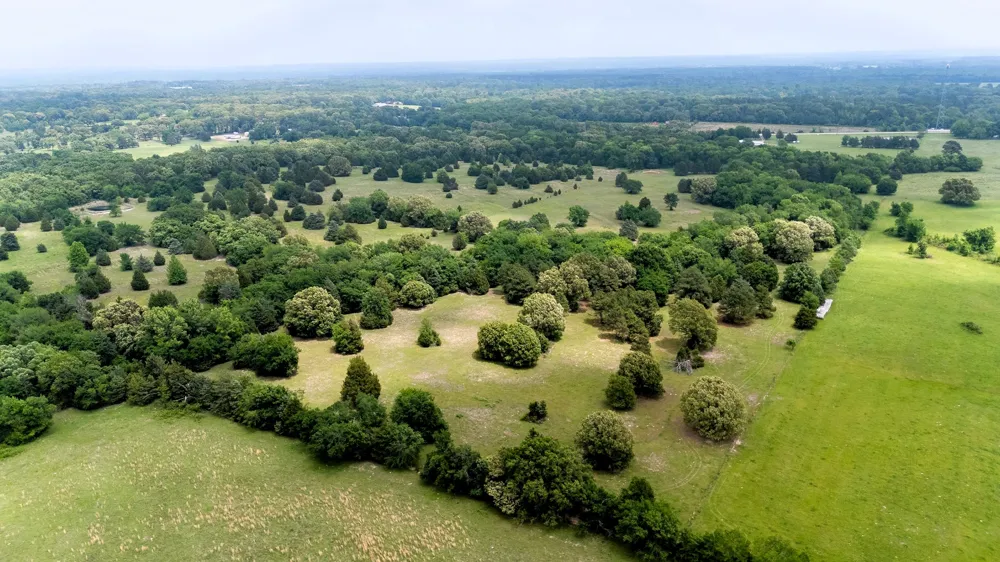 6100 Fm 314 Ben Wheeler, TX 75754