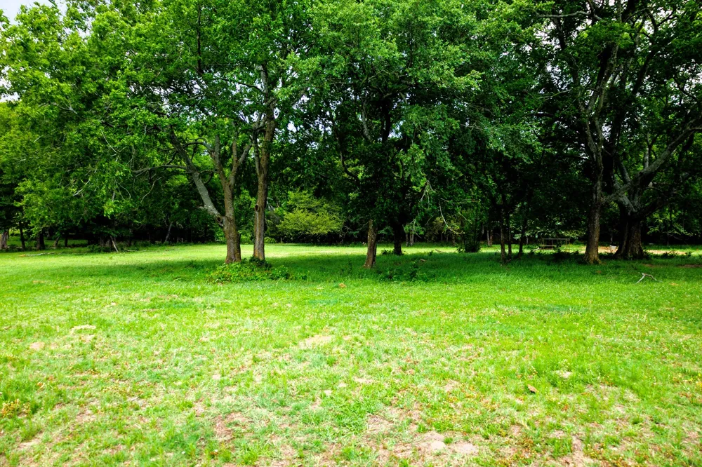 6100 Fm 314 Ben Wheeler, TX 75754