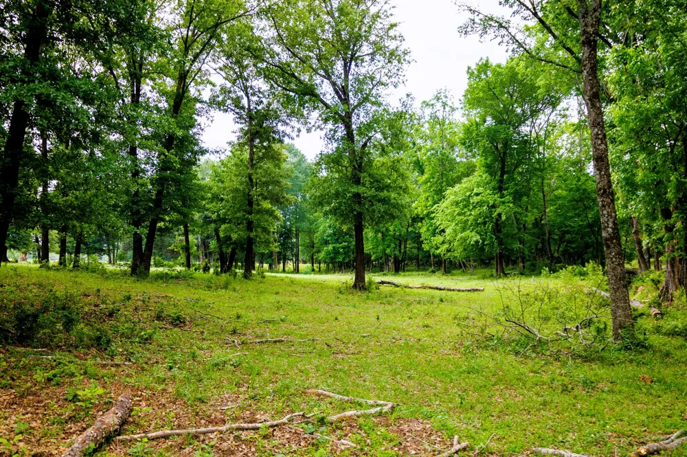 6100 Fm 314 Ben Wheeler, TX 75754