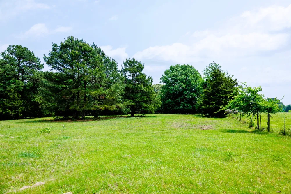 6100 Fm 314 Ben Wheeler, TX 75754