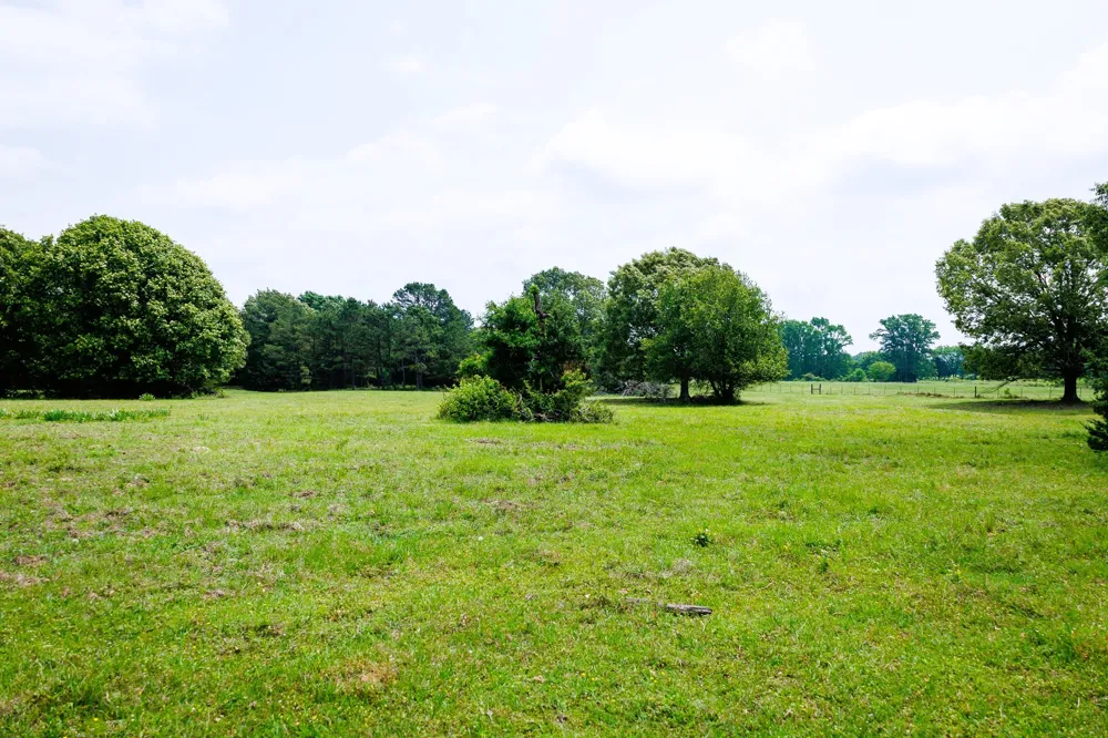 6100 Fm 314 Ben Wheeler, TX 75754