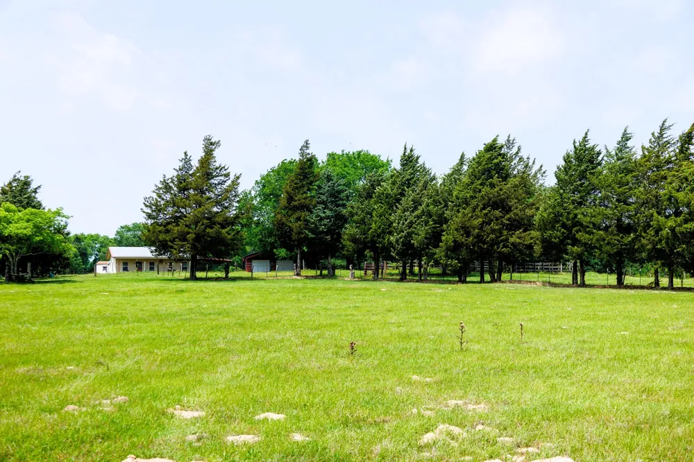 6100 Fm 314 Ben Wheeler, TX 75754