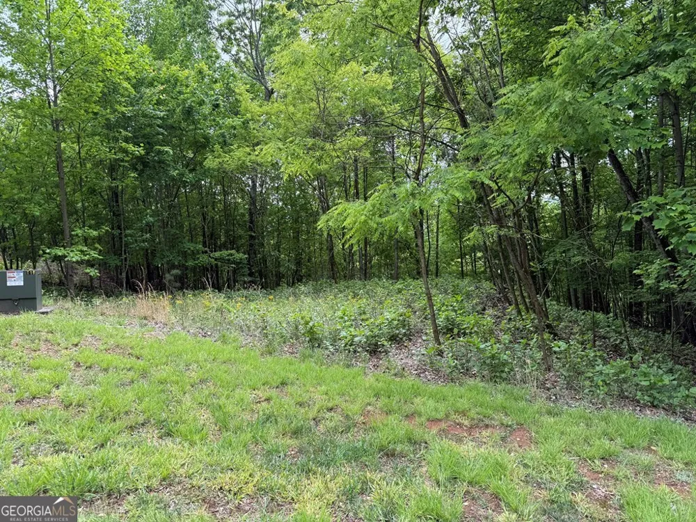 LOT 67 The Sanctuary at Vance Mountain Murphy, NC 28906