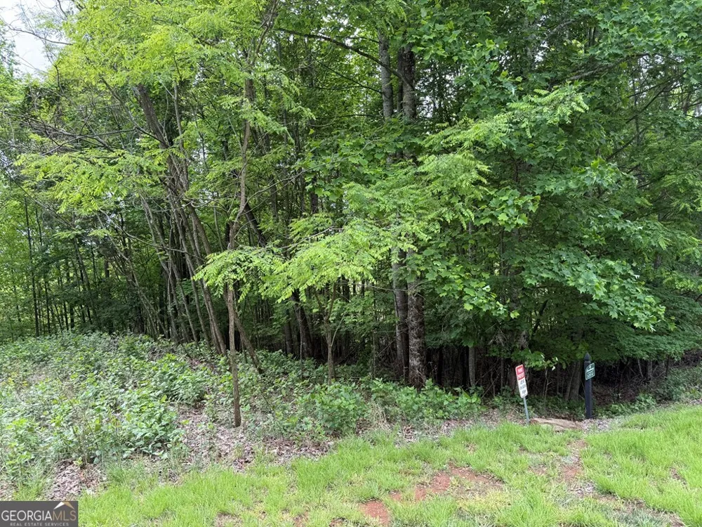 LOT 67 The Sanctuary at Vance Mountain Murphy, NC 28906