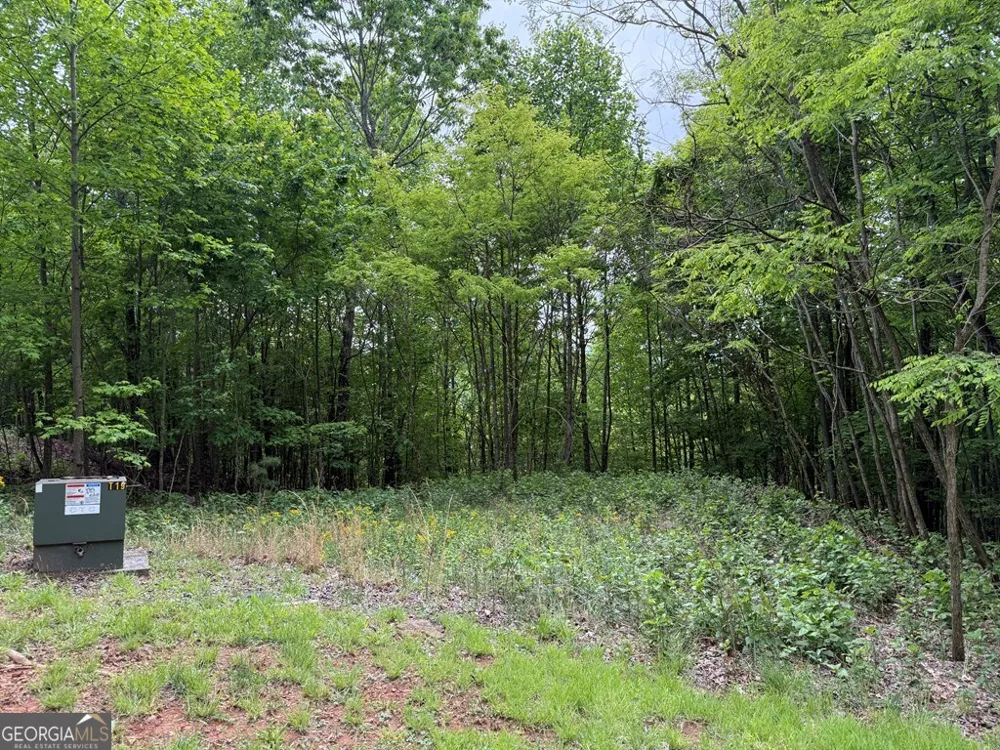 LOT 67 The Sanctuary at Vance Mountain Murphy, NC 28906
