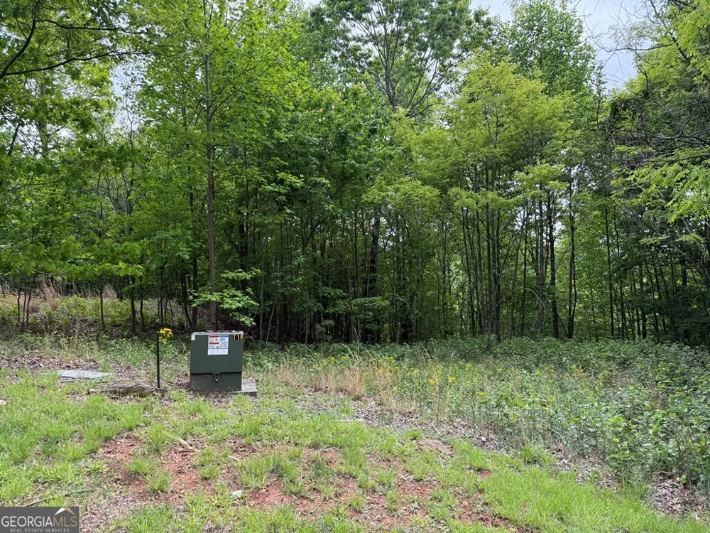 LOT 67 The Sanctuary at Vance Mountain Murphy, NC 28906