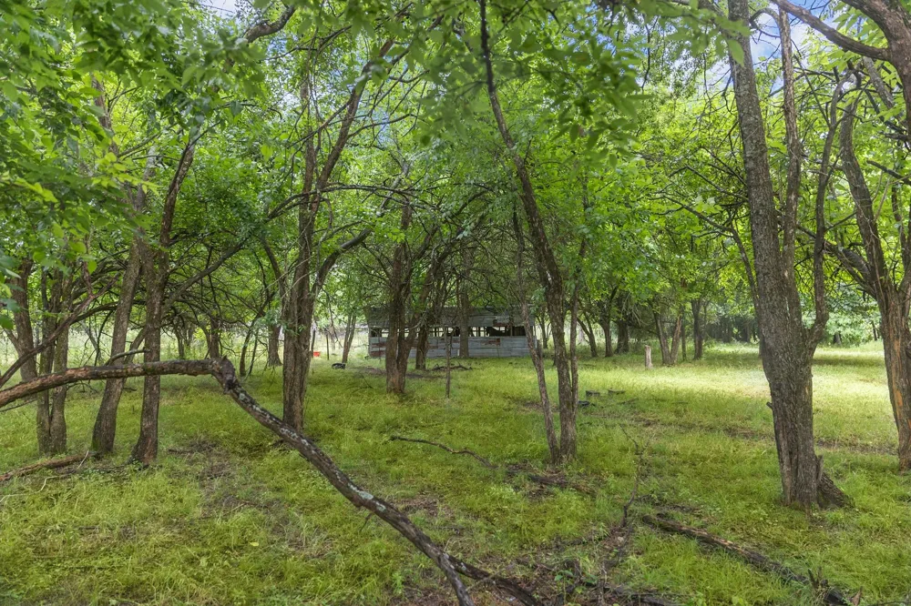 419 W Main Street Pecan Gap, TX 75469