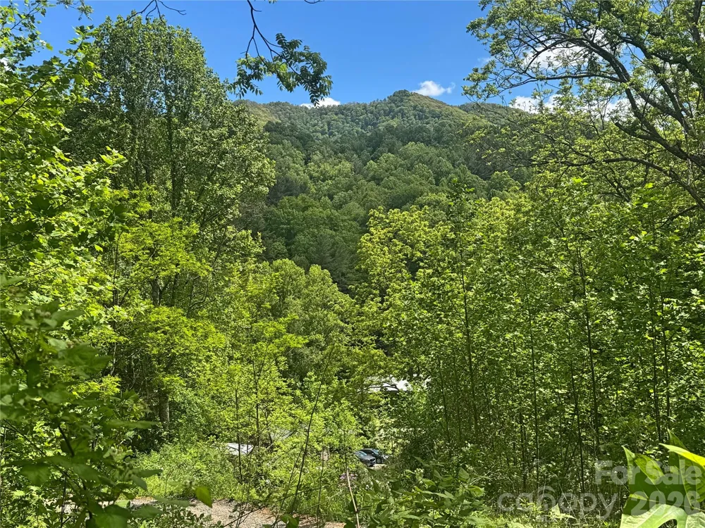 V/L Wolf Crossing Bakersville, NC 28705