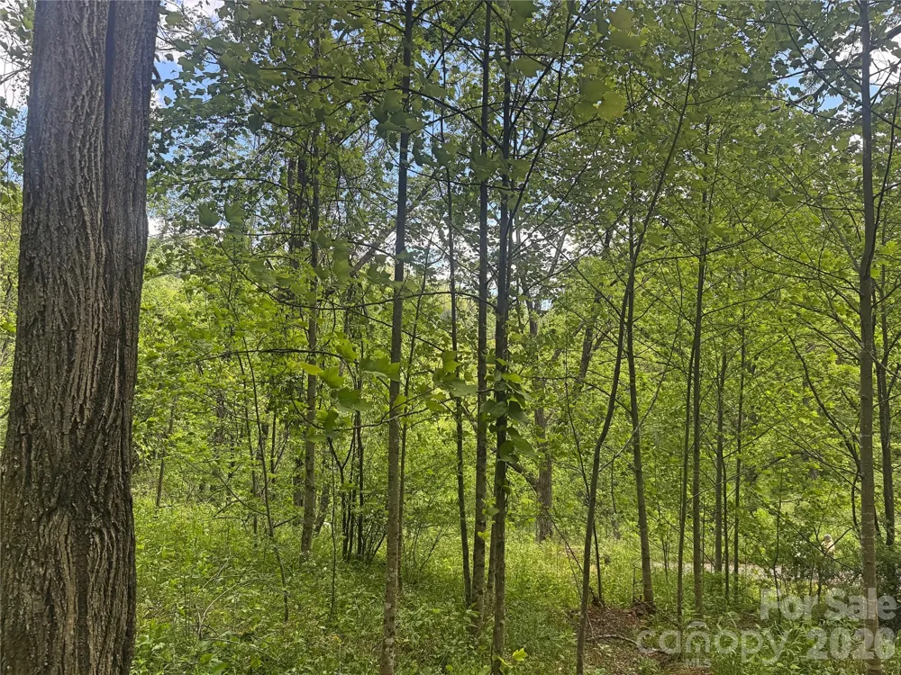 V/L Wolf Crossing Bakersville, NC 28705