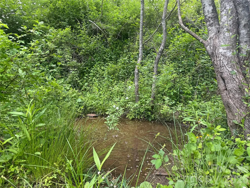 V/L Wolf Crossing Bakersville, NC 28705