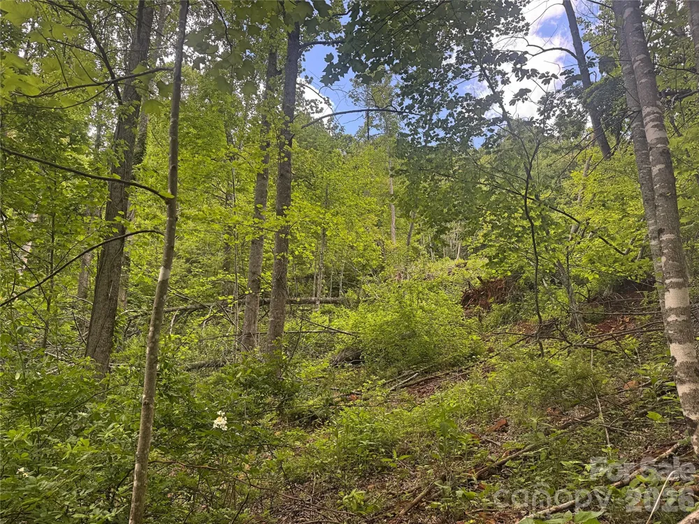 V/L Wolf Crossing Bakersville, NC 28705