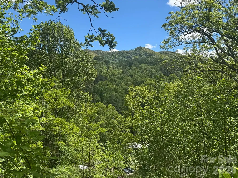 V/L Wolf Crossing Bakersville, NC 28705