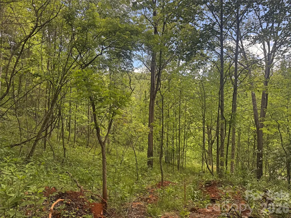 V/L Wolf Crossing Bakersville, NC 28705