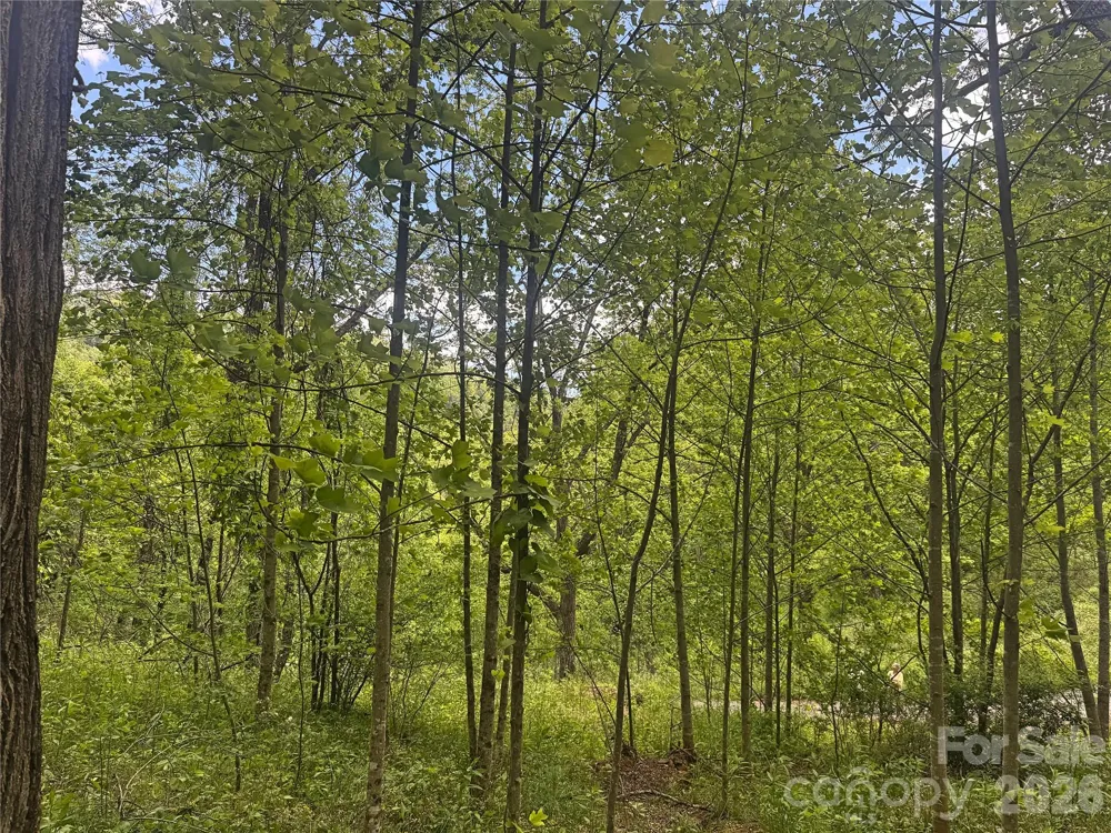 V/L Wolf Crossing Bakersville, NC 28705