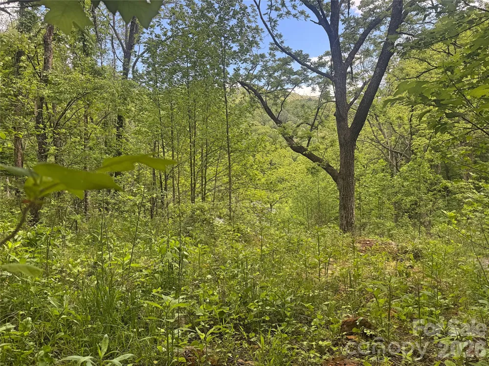 V/L Wolf Crossing Bakersville, NC 28705