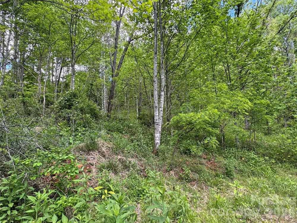 V/L Wolf Crossing Bakersville, NC 28705