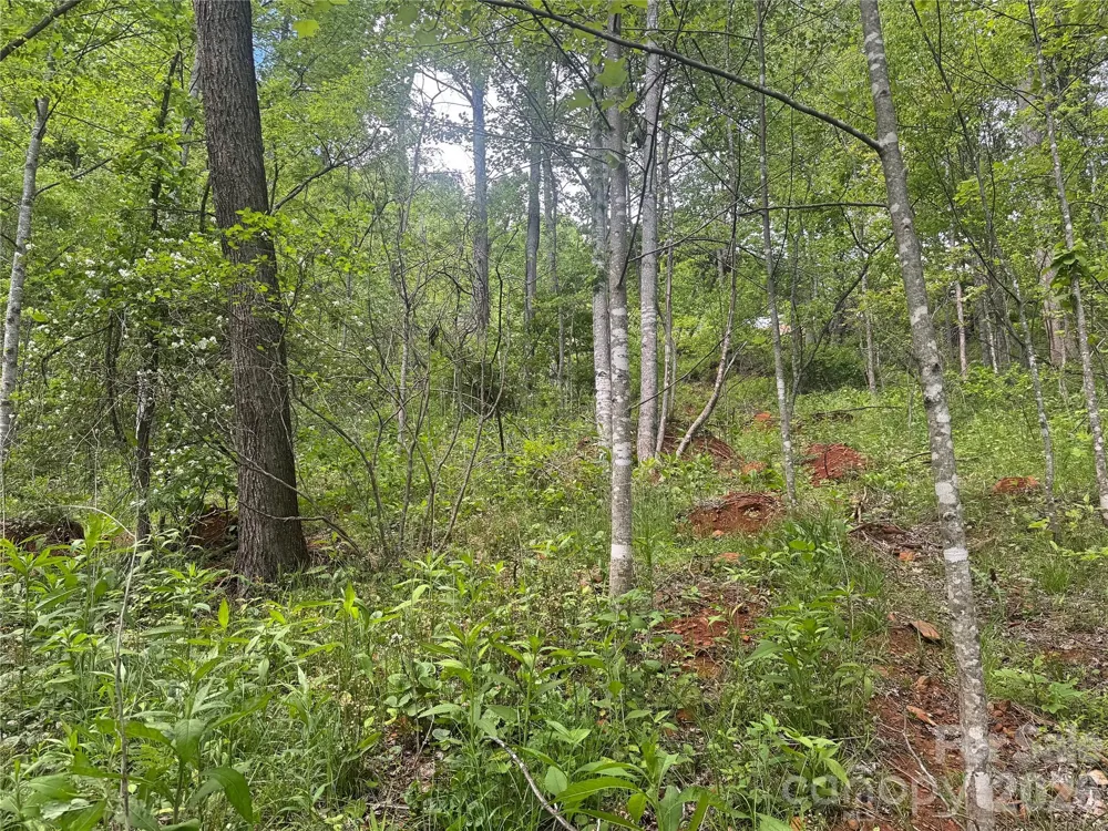 V/L Wolf Crossing Bakersville, NC 28705