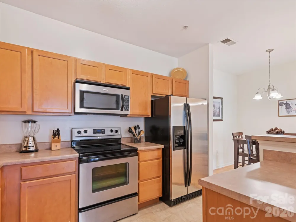 291 Brickton Village Circle #207 Fletcher, NC 28732