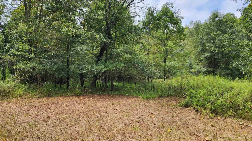 1661 Friendship RD Hoschton, GA 30548
