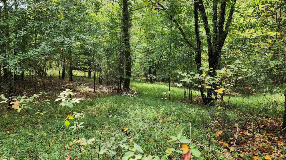 1661 Friendship RD Hoschton, GA 30548