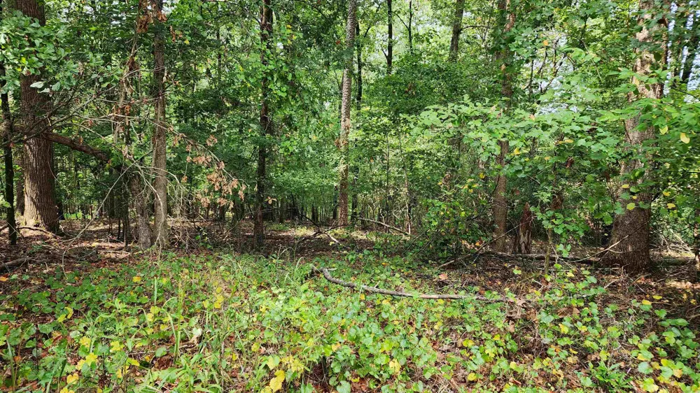 1661 Friendship RD Hoschton, GA 30548