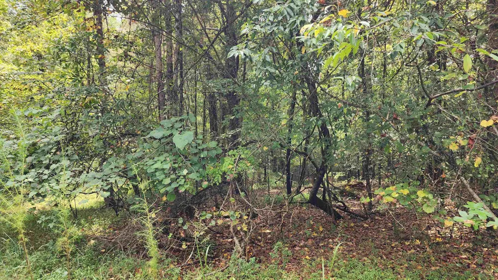 1661 Friendship RD Hoschton, GA 30548