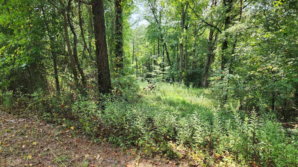 1661 Friendship RD Hoschton, GA 30548