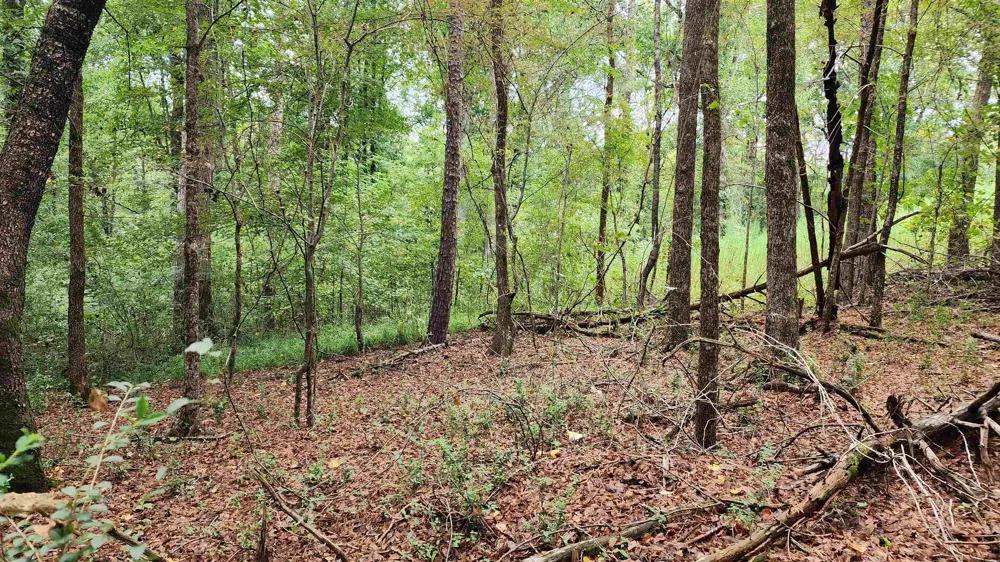 1661 Friendship RD Hoschton, GA 30548