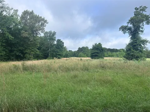 Stewart Road