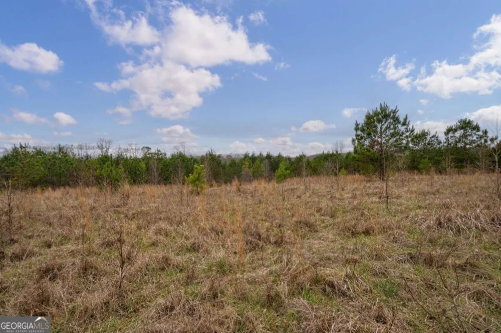 TRACT 2 High Shoals RD Bishop, GA 30621