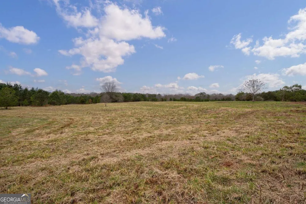 TRACT 2 High Shoals RD Bishop, GA 30621