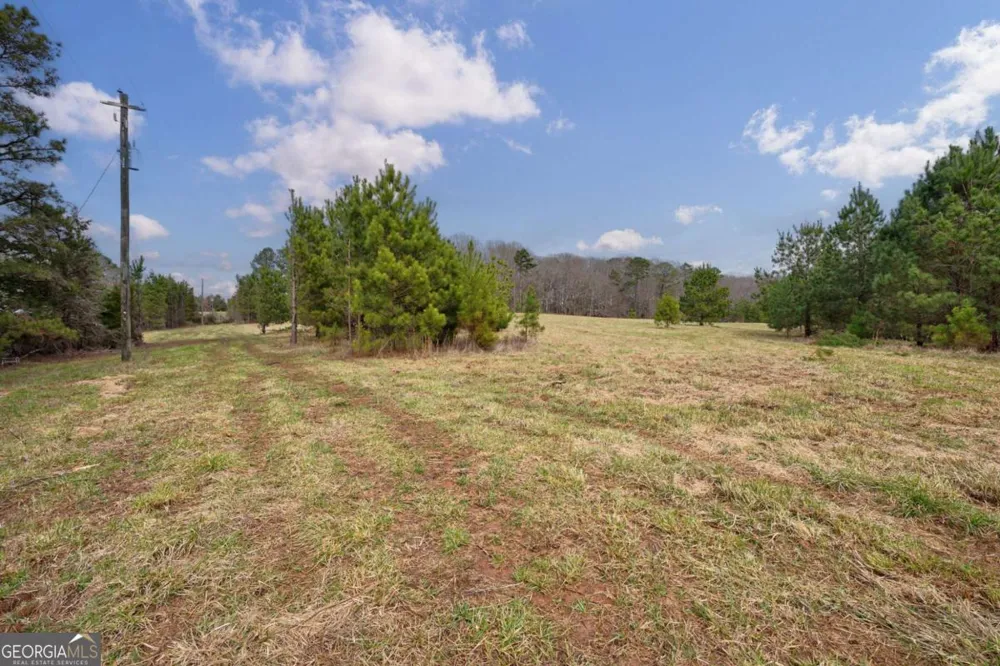 TRACT 3 High Shoals RD Bishop, GA 30621