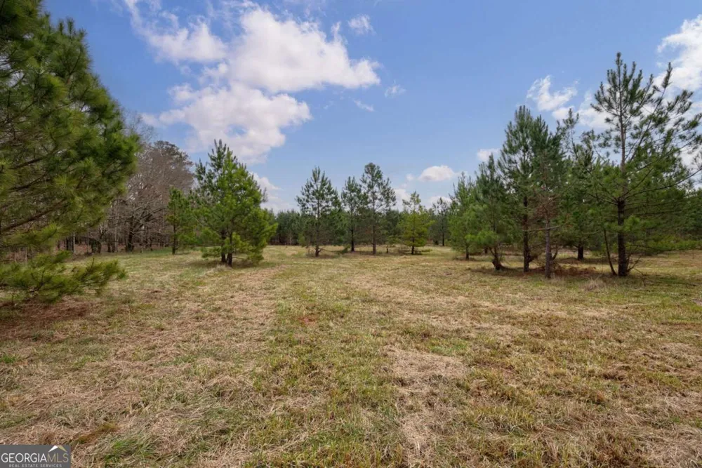 TRACT 3 High Shoals RD Bishop, GA 30621