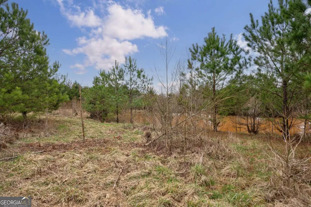 TRACT 3 High Shoals RD Bishop, GA 30621