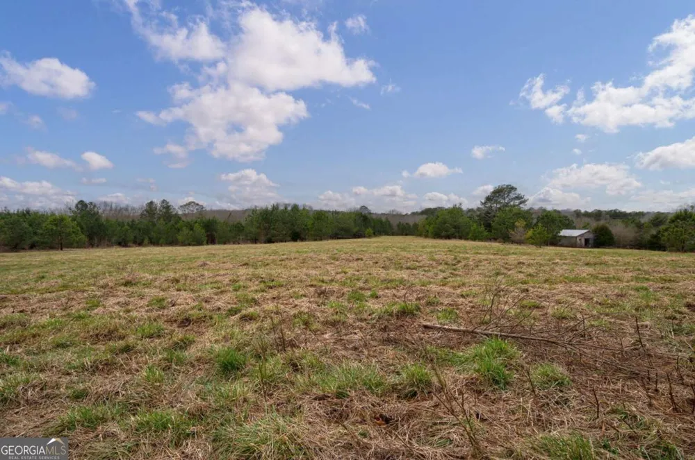 TRACT 3 High Shoals RD Bishop, GA 30621