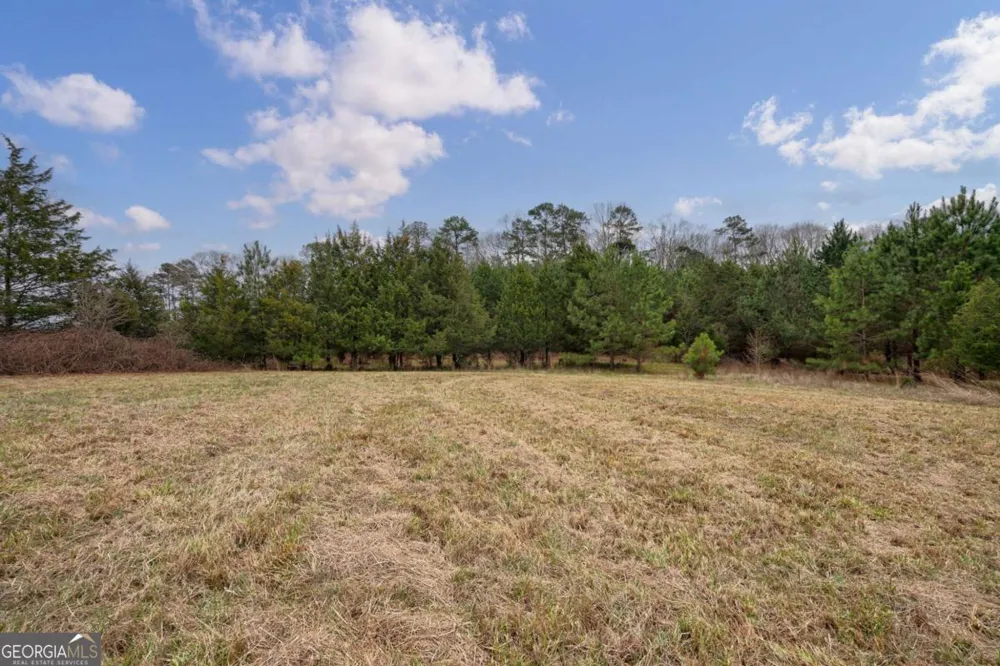 TRACT 3 High Shoals RD Bishop, GA 30621