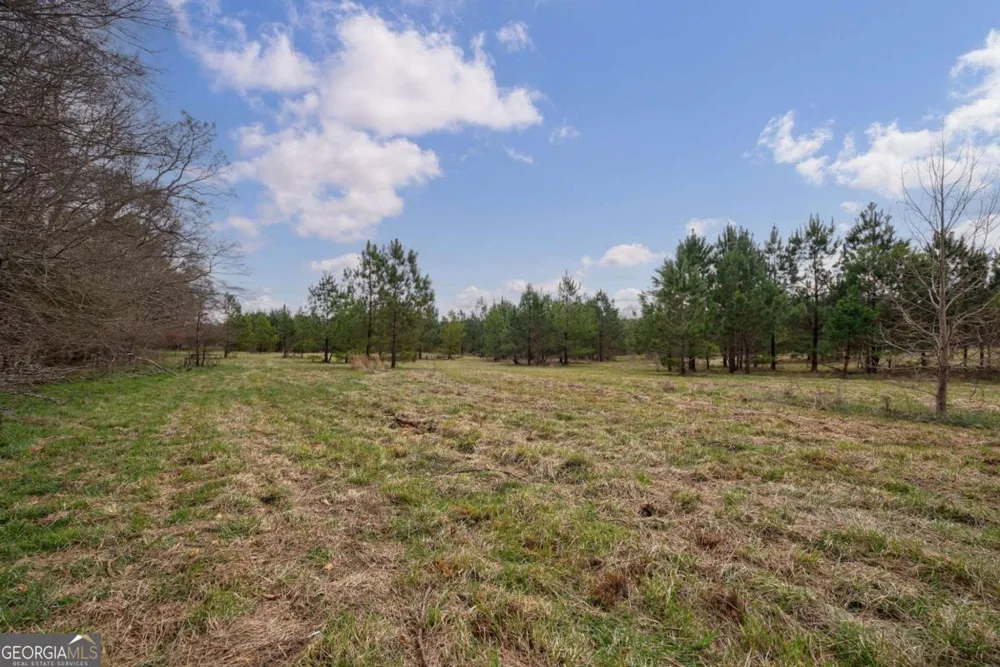 TRACT 3 High Shoals RD Bishop, GA 30621