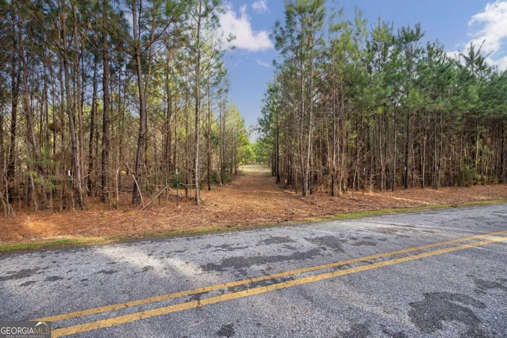 TRACT 3 High Shoals RD Bishop, GA 30621