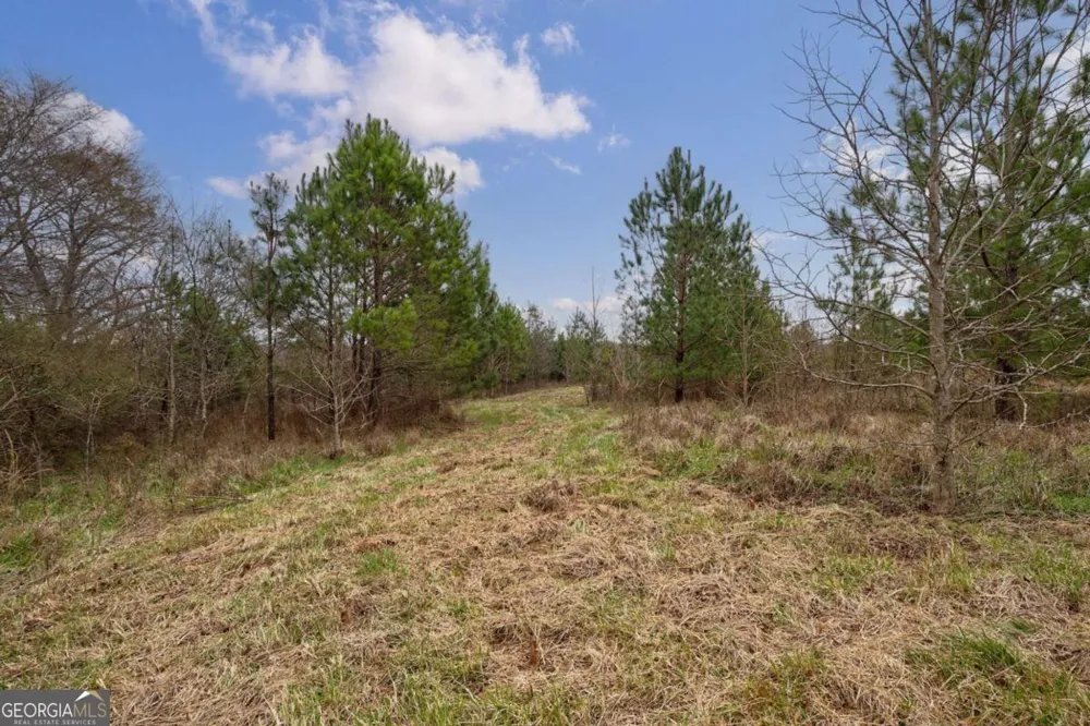 TRACT 3 High Shoals RD Bishop, GA 30621