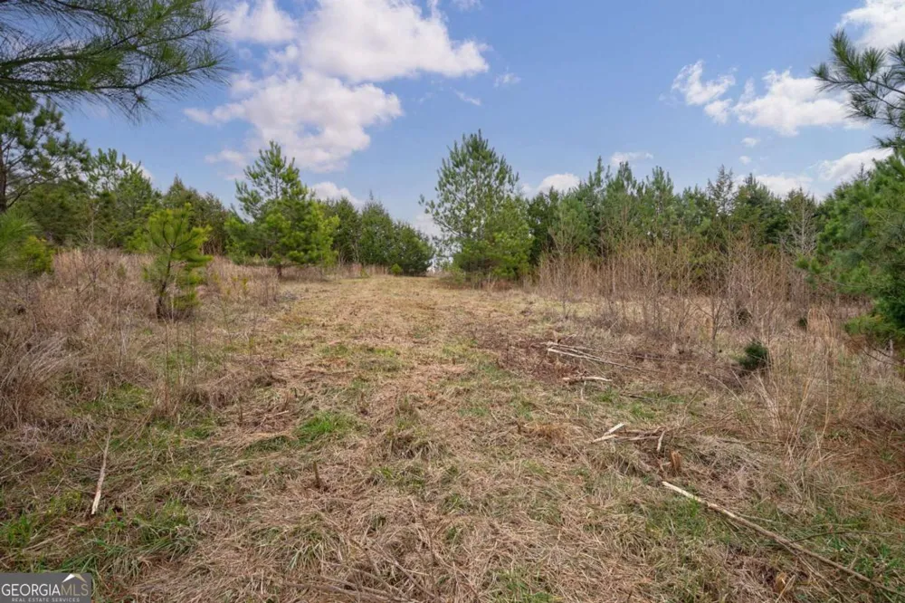 TRACT 3 High Shoals RD Bishop, GA 30621
