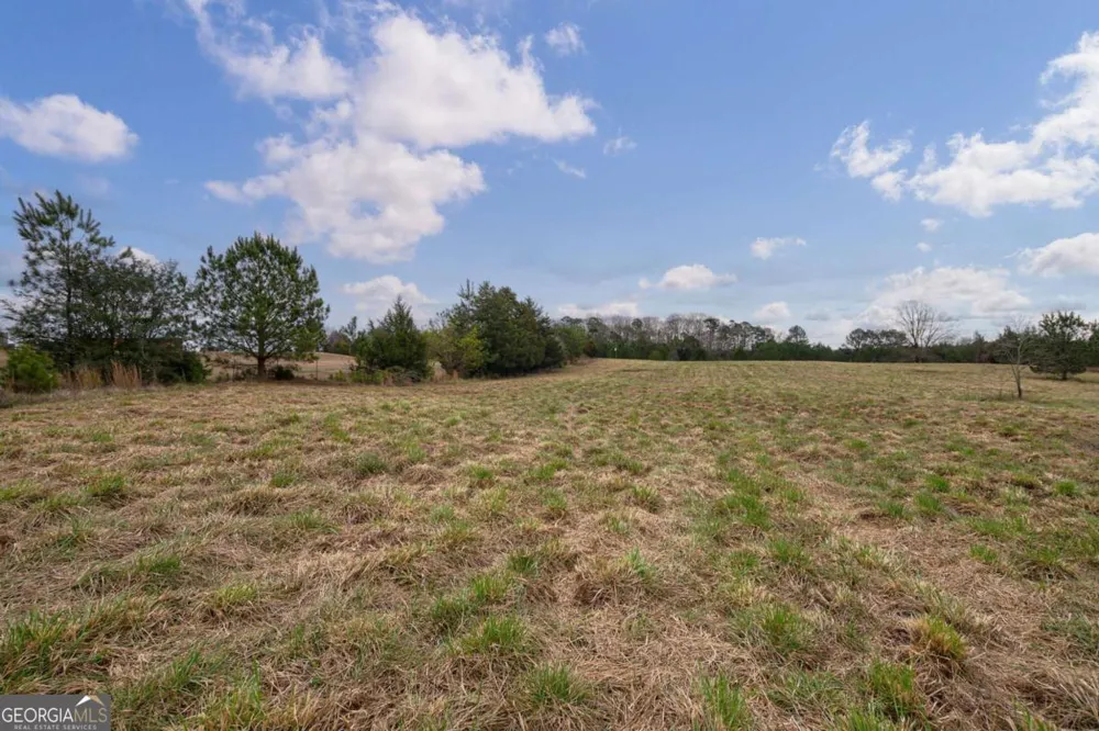 TRACT 3 High Shoals RD Bishop, GA 30621