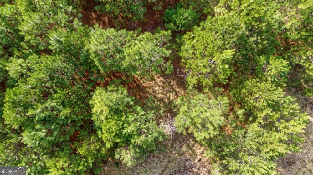 TRACT 3 High Shoals RD Bishop, GA 30621